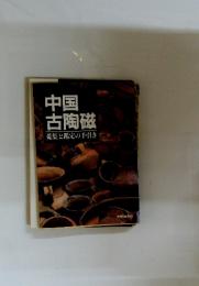 中国古陶磁　蒐集と鑑定の手引き
