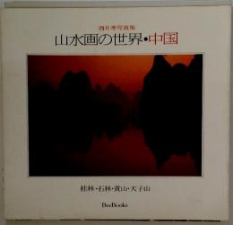 酒井孝写真集 山水画の世界・中国