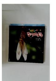 なつのよる