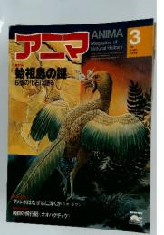 アニマ　始祖鳥の謎 6個の化石は語る