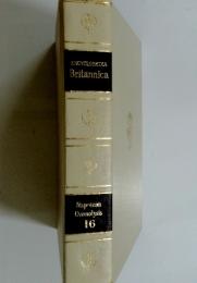 Napoleon Ozonolysis 16