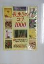 長生きの コツ　1000