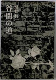 谷間の道