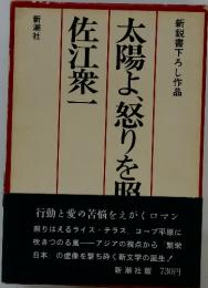 太陽よ、怒りを照らせ