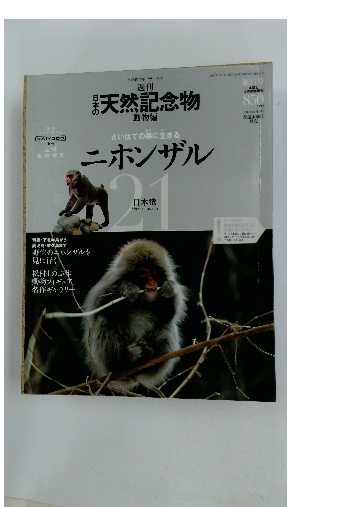 腐触の構造(森村 誠一) / 古本配達本舗 / 古本、中古本、古書籍