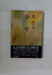 少年