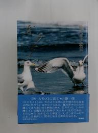 失カモメ