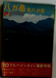 ハガ岳北八ガ岳 アルパインガイト 20