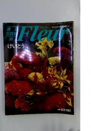 Fleur　けいとう　1996 10.10