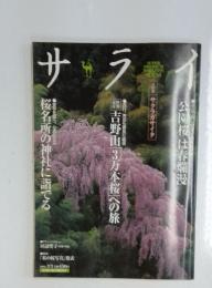 サライ　2005/3/3