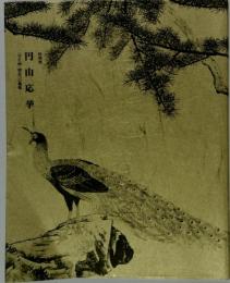 特別展 　円山応挙