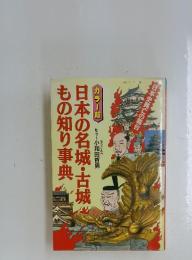 カラー版 日本の名城・古城もの知り事典