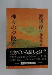 渡辺淳一作品集 15 神々の夕映え