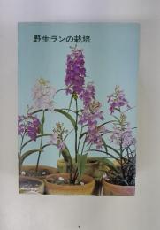 野生ランの栽培