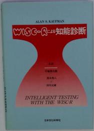 WISC-Rによる知能診断