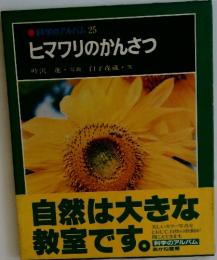 ヒマワリのかんさつ