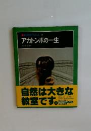 アカトンボの一生