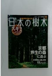 日本の樹木　22　スギ2