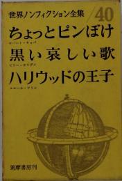 世界ノンフィクション全集　40