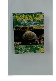 たくさんのふしぎ　1999年5月号