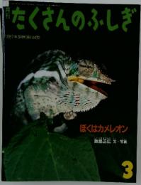たくさんのふしぎ　1997年3月号