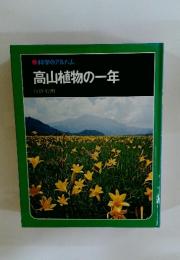 高山植物の一年