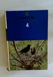 鳥 原色学習ワイド図鑑 Picture Encyclopedia 4