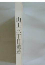 山王三丁目遺跡