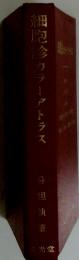 細胞診カラーアトラス