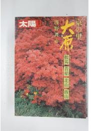 太陽　OMON　NO.236