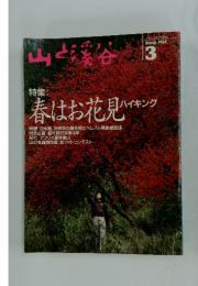 肌と渓谷　1994年3月号