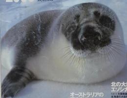 SINRA No.79 2000年7月1日発