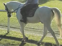 乗馬ライク　2011年9月
