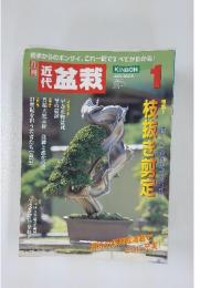 近代　盆栽　2005年1月号