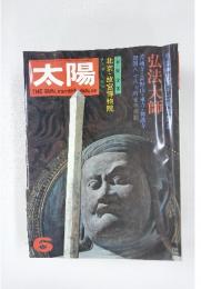 太陽 THE SUN,monthly deluxe　6