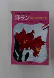 洋ラン 　美しい花の咲かせ方