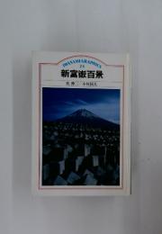 THANAMI GRAPHICS　24　新富嶽百景