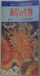 海岸の生物