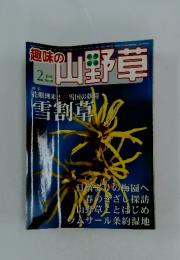 山野草　2006　2