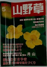 山野草　2003年5月