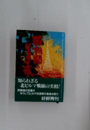 知られざる北ビルマ戦線の実相!