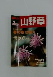 山野草　2004年2月号