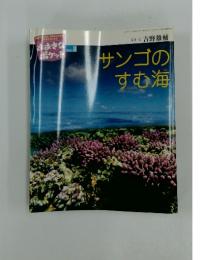 おきなポケット　2003年8月号　サンゴのすむ海