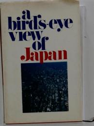 A Bird’s-eye View Of Japan