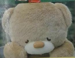 ぬいぐるみの動物たち