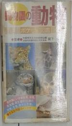 動物園の動物