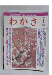 わかさ　あなたの人生をもっと豊かにする生き方雑誌　1995/1