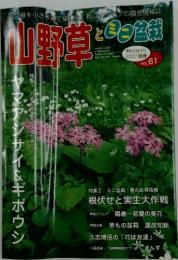山野草とミニ盆栽　平成19年5月1日発行