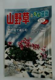 山野草　2004年Vol.45