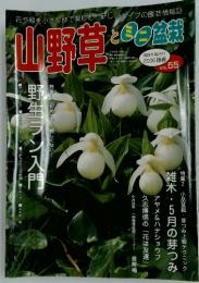 山野草　2006